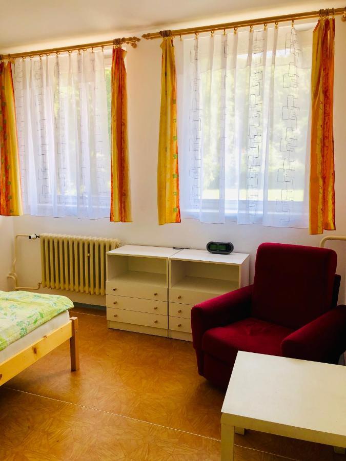 Penzion Horska Chata Svetla Танвалд Екстериор снимка